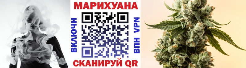 Шишки марихуана Amnesia  Полярный 